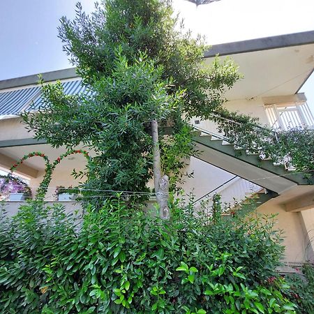 Casa Di Sofia Hotel Кастелана Гроте Екстериор снимка